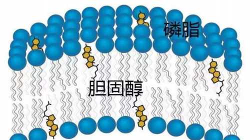 <b>合肥代孕助孕在哪里,中国首例“试管婴儿”郑萌珠，32年后诞下一子，打脸众人</b>