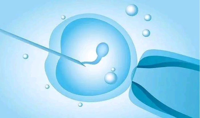 合肥哪里有私人代孕的,自然流产三次 两次没胎心胎停适合做试管婴儿吗-上海供