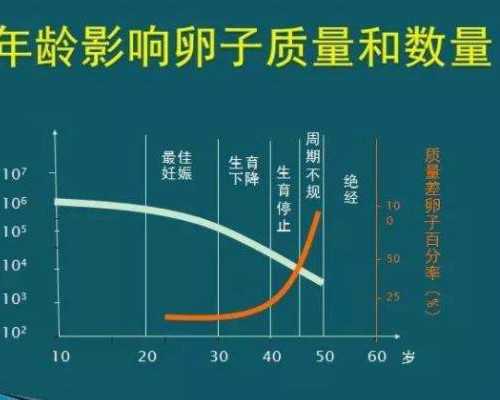 武汉助孕大学生 2023年武汉市三胎三孩补贴多少 ‘肚型看男女什么’