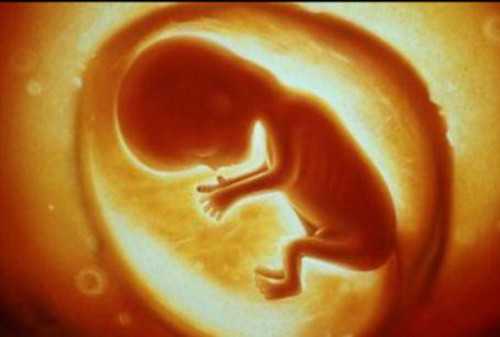 珠海代孕套餐_多囊卵巢去美国做试管婴儿适合吗？